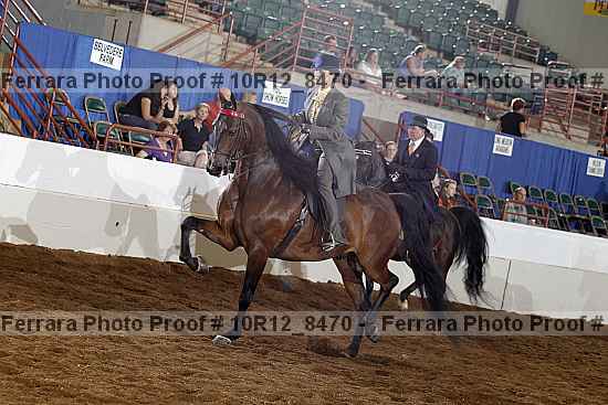 Proof Number 10r12_8470