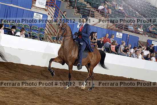 Proof Number 10r12_8471