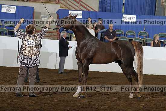 Proof Number 10r12_3196