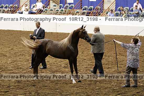 Proof Number 10r12_3198