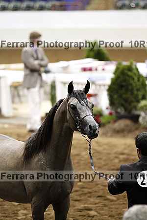 Proof Number 10r12_3200