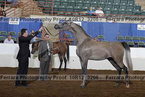 Proof Number 10r12_3206