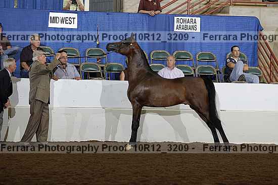 Proof Number 10r12_3209