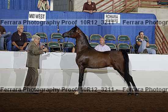 Proof Number 10r12_3211