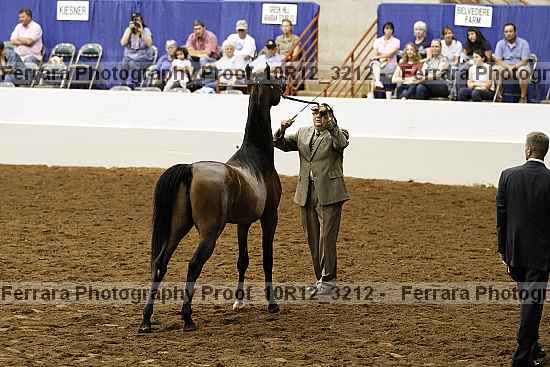 Proof Number 10r12_3212