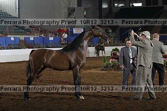 Proof Number 10r12_3213