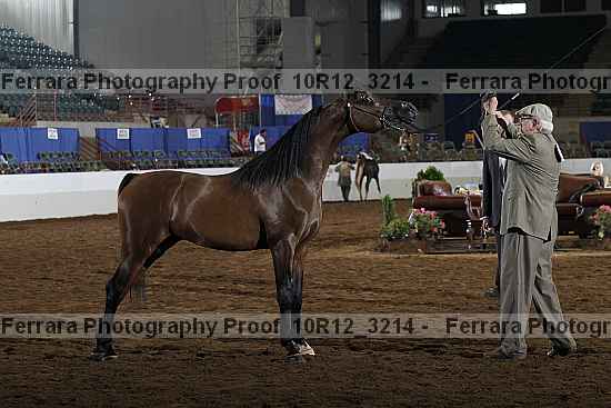 Proof Number 10r12_3214
