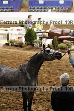 Proof Number 10r12_3215