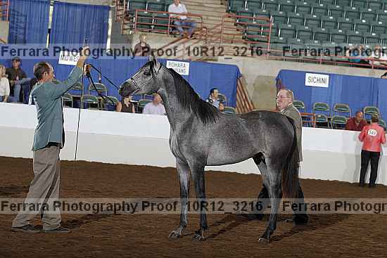 Proof Number 10r12_3216