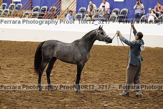 Proof Number 10r12_3217