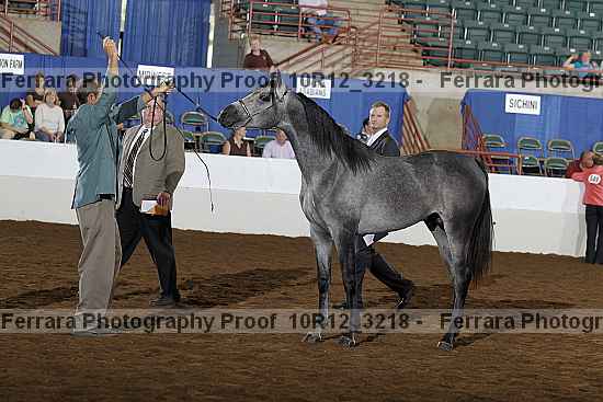 Proof Number 10r12_3218
