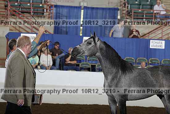 Proof Number 10r12_3219