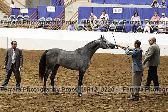 Proof Number 10r12_3220