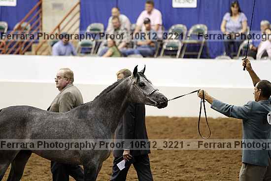 Proof Number 10r12_3221