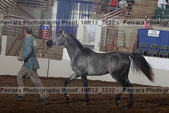 Proof Number 10r12_3222