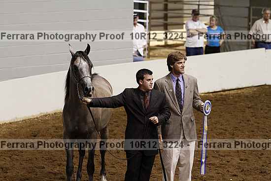 Proof Number 10r12_3224