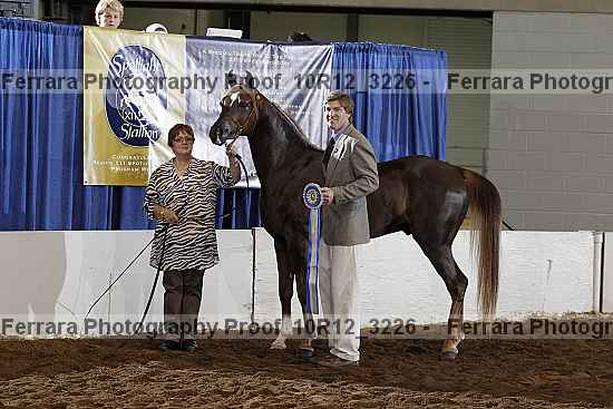 Proof Number 10r12_3226