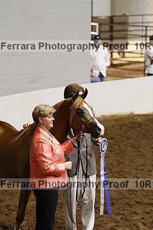 Proof Number 10r12_3230