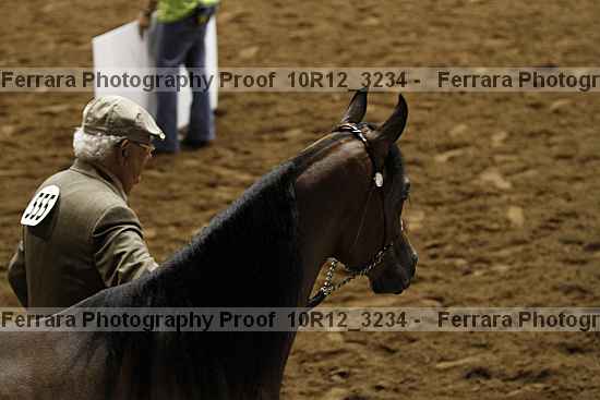Proof Number 10r12_3234