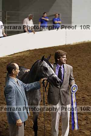 Proof Number 10r12_3236