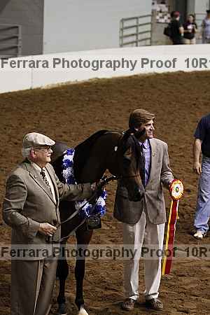 Proof Number 10r12_3242