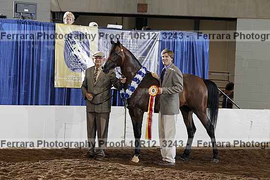 Proof Number 10r12_3243