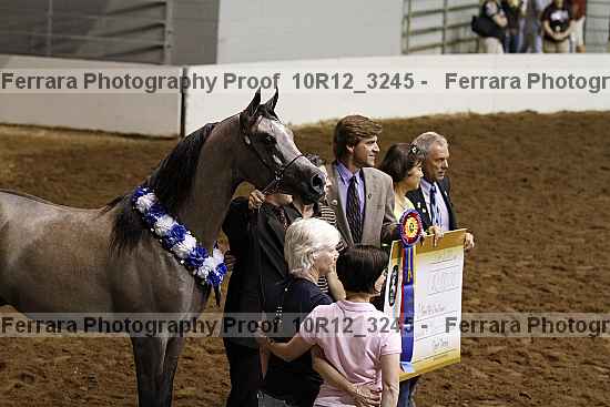 Proof Number 10r12_3245