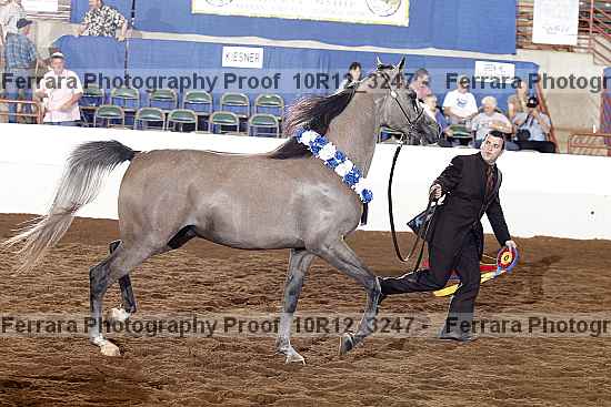 Proof Number 10r12_3247