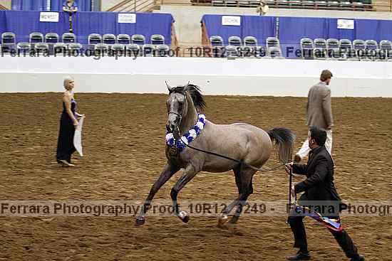 Proof Number 10r12_3249