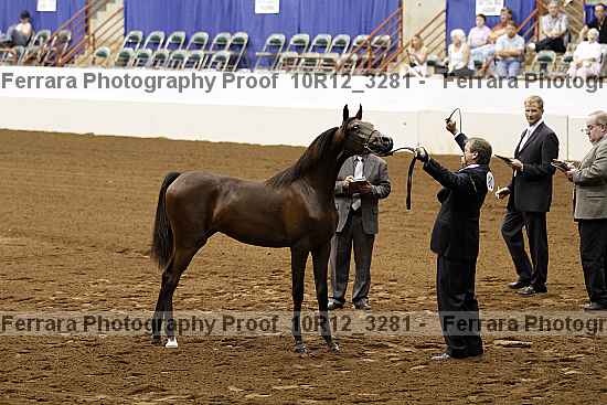 Proof Number 10r12_3281
