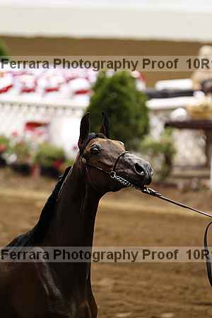 Proof Number 10r12_3285