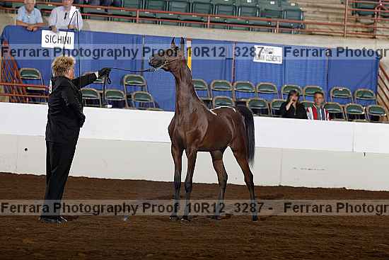 Proof Number 10r12_3287