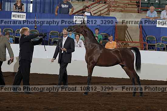 Proof Number 10r12_3290