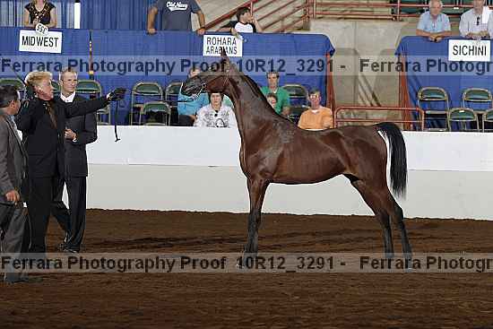Proof Number 10r12_3291