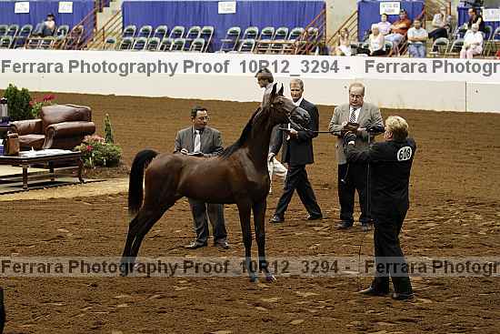 Proof Number 10r12_3294