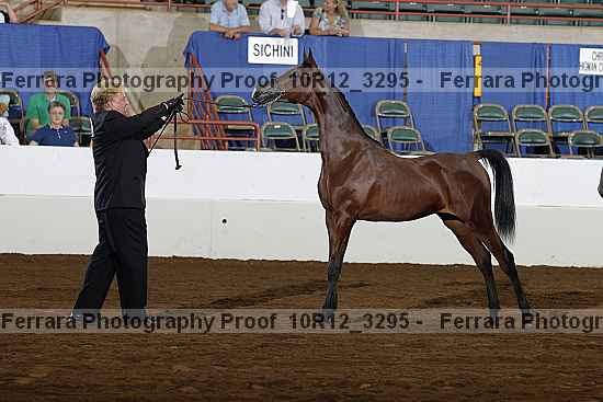 Proof Number 10r12_3295