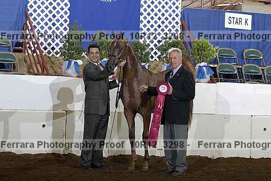 Proof Number 10r12_3298
