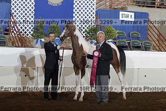 Proof Number 10r12_3299