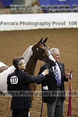 Proof Number 10r12_3301