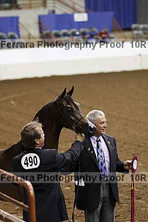 Proof Number 10r12_3303