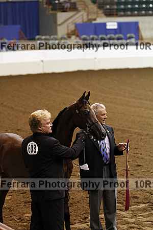 Proof Number 10r12_3306