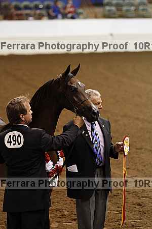 Proof Number 10r12_3309