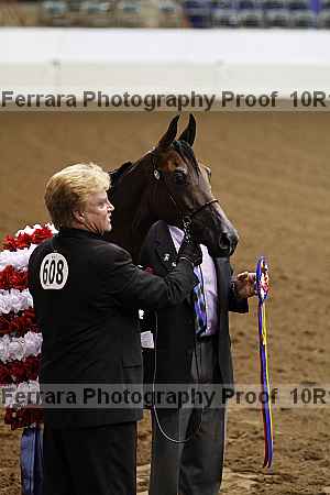 Proof Number 10r12_3314