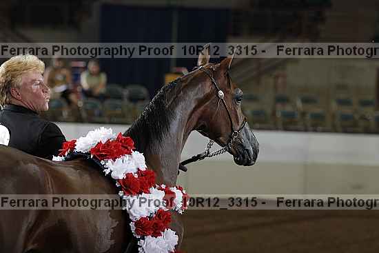 Proof Number 10r12_3315