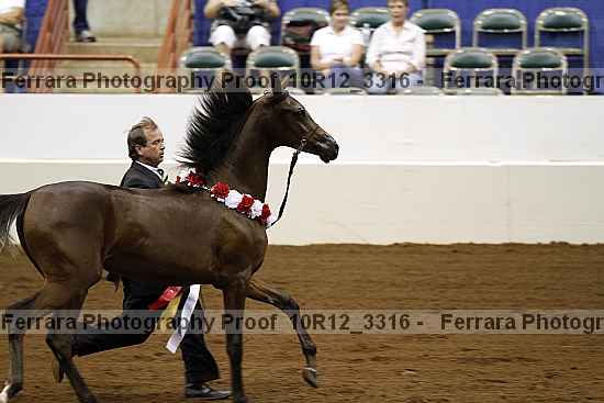 Proof Number 10r12_3316