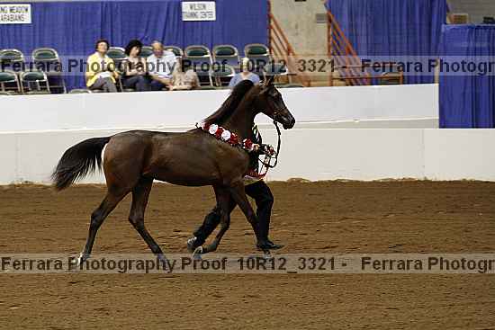 Proof Number 10r12_3321