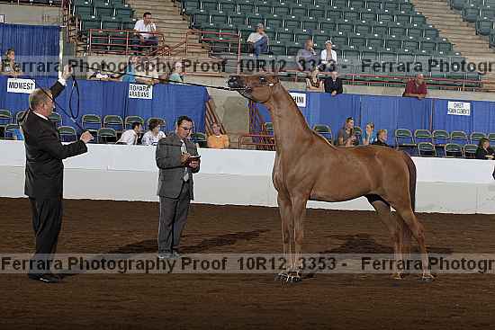 Proof Number 10r12_3353