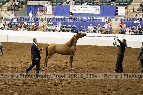 Proof Number 10r12_3354
