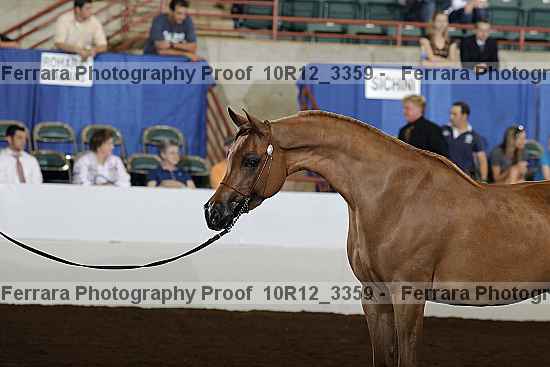 Proof Number 10r12_3359