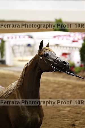 Proof Number 10r12_3364